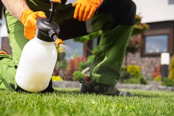 Best Pest Removal Services  in Guttenberg, NJ
