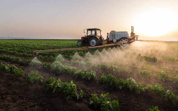 Best Mosquito Control Services  in Guttenberg, NJ