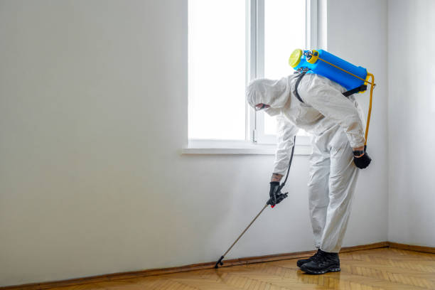 Best Commercial Pest Control Services  in Guttenberg, NJ