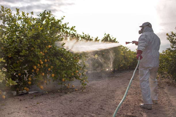 Best Mosquito Control Services  in Guttenberg, NJ