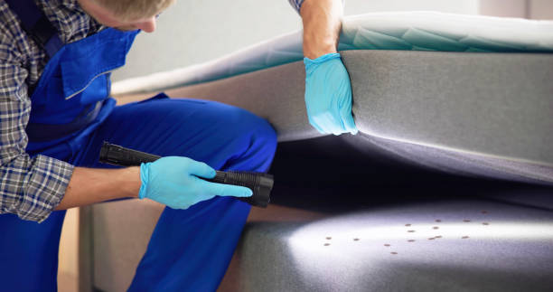 Professional Pest Control in Guttenberg, NJ