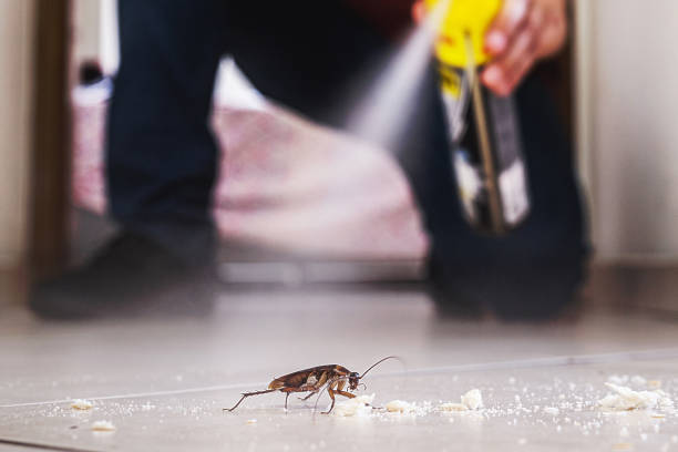 Best Spider Control Near Me  in Guttenberg, NJ