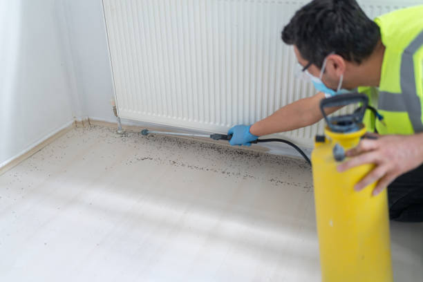 Best Best Pest Control Companies  in Guttenberg, NJ